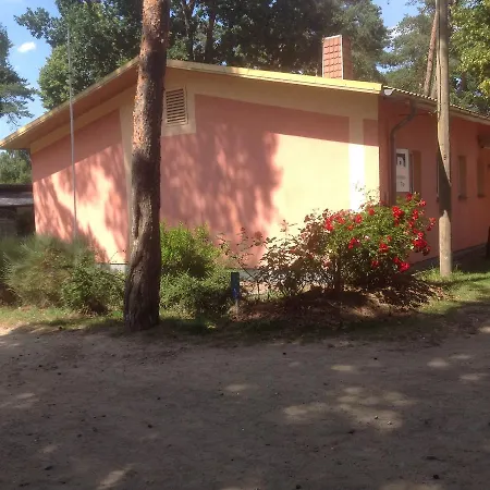 Modern Bungalow In Am Salzhaff With Sauna Holiday home *